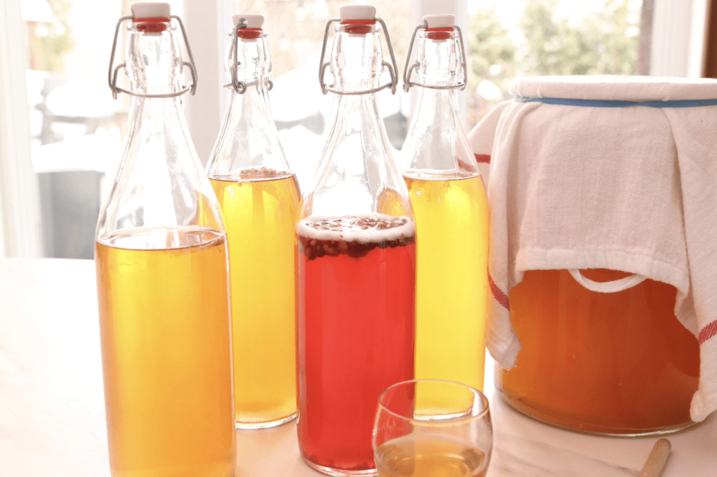 [Festival Nourrir Autrement] Kombucha maison