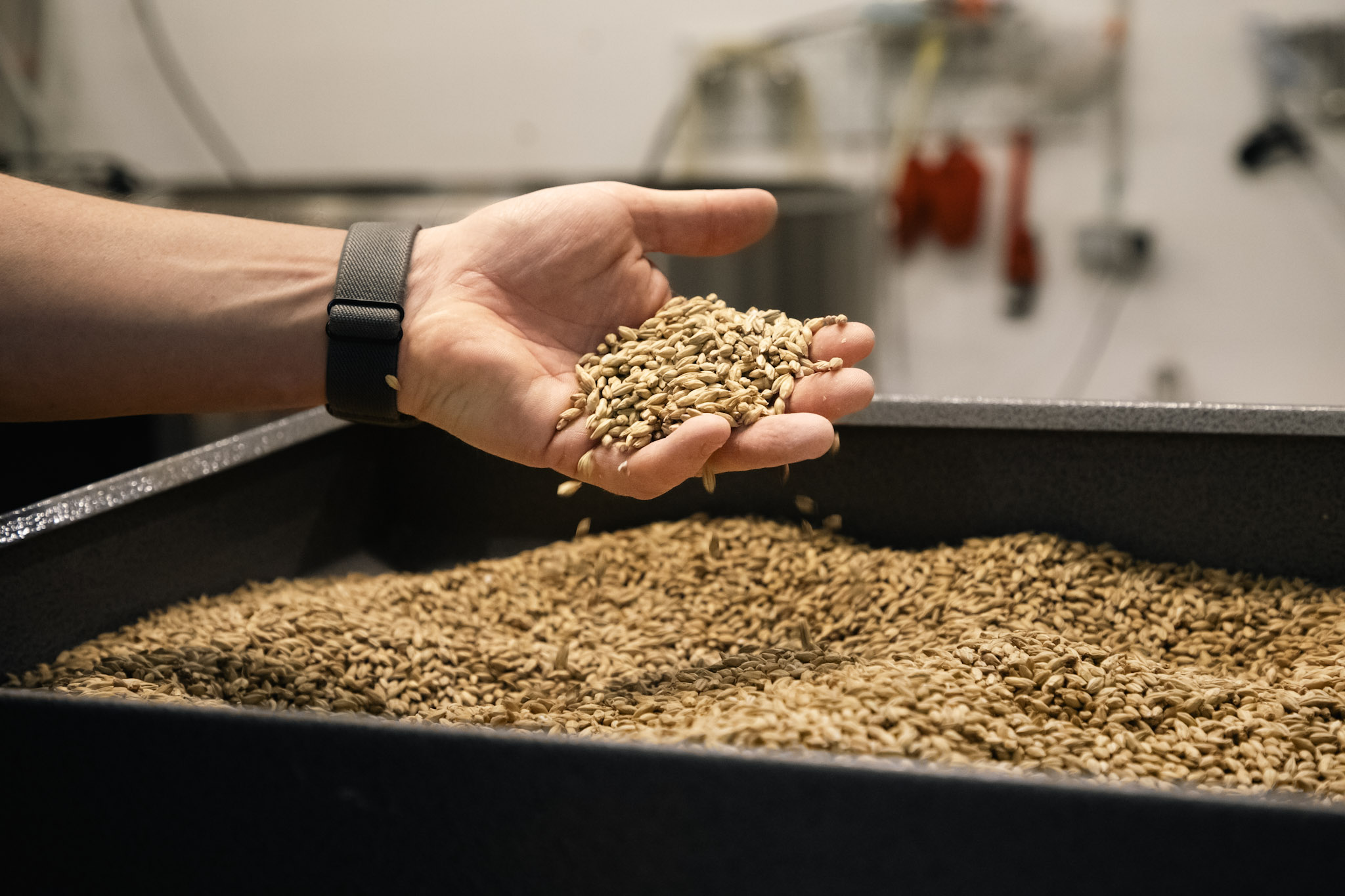 Atelier Apprenti Brasseur - Brasserie de Verviers